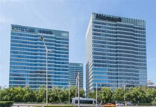 北京师傅斫琴能行吗